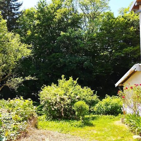 Les Glycines, Un Air De Campagne A La Ville Besancon Exterior photo