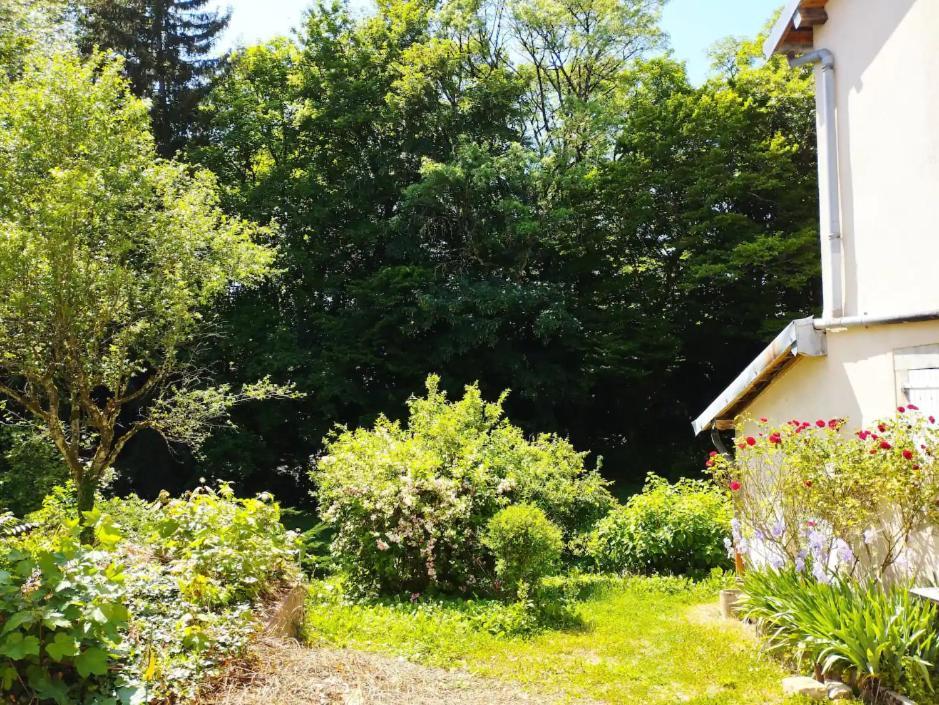 Les Glycines, Un Air De Campagne A La Ville Besancon Exterior photo